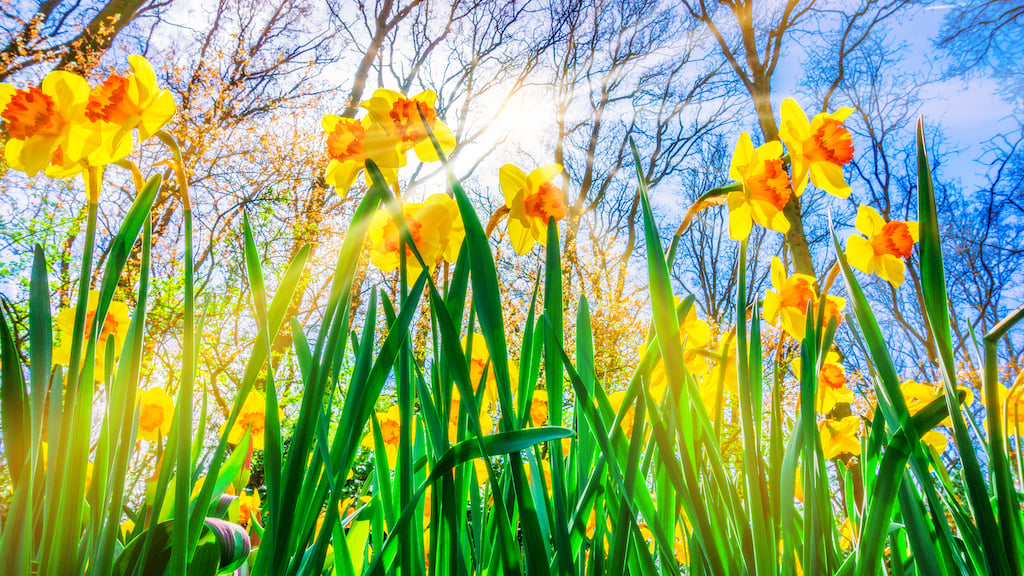 8 Spring Must Haves